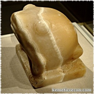 frog0678
